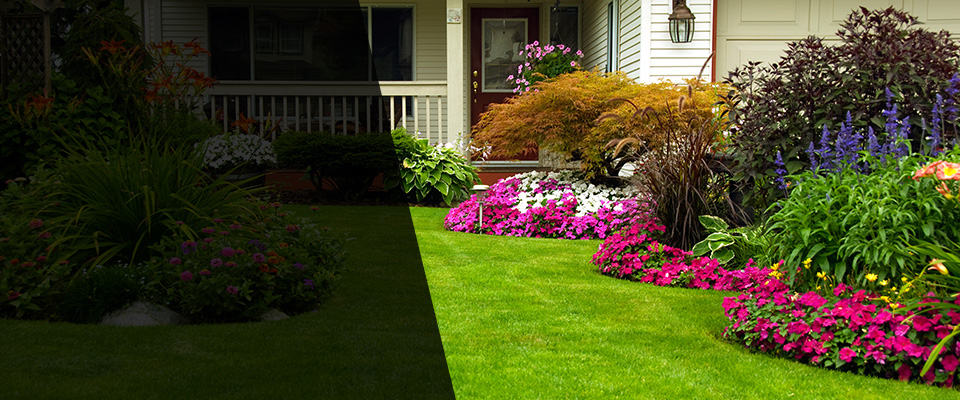 Walworth Landscapers