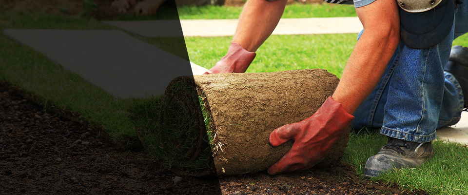Walworth Landscapers